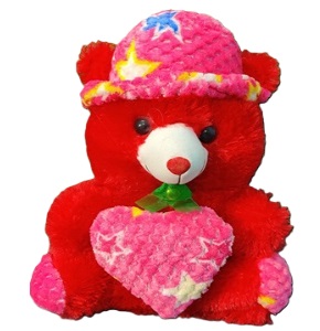 Teddy Bear Doll Medium